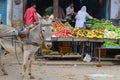 Fruit and Vegetable Stall at Market, Mandawa, Rajasthan, India