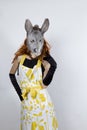 Donkey housewife in evening dress