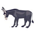 Donkey icon, cartoon style