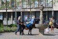 Donkey drinking water at Jugendfest Brugg