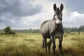 Donkey in the meadow with stormy sky. 3D rendering, Grey donkey in field, AI Generated