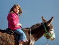 Donkey mule with kid little girl riding happy