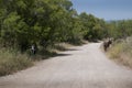 Donkey on Nature Reserve at Skala Kalloni Lesvos Greece Royalty Free Stock Photo