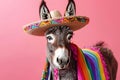 a donkey portrait wearing a sombrero hat and mexican style clothing