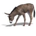 Donkey Render Royalty Free Stock Photo