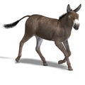 Donkey Render Royalty Free Stock Photo