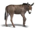 Donkey Render Royalty Free Stock Photo