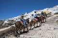 Donkey ride in Santorini