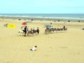 Donkey rides on Mablethorpe beach.