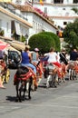 Donkey rides, Mijas. Royalty Free Stock Photo