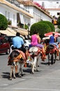 Donkey rides, Mijas. Royalty Free Stock Photo