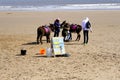 Donkey rides, Scarborough, Yorkshire, UK.