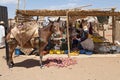 Donkey at the rural market Royalty Free Stock Photo
