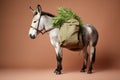 donkey with a saddlebag of fresh herbs