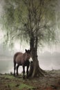 donkey sheltering under a tree during rain