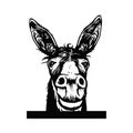 Donkey sketch vector graphics a monochrome graphic the head Peeking Donkey head. Hand drawn in a graphic style. Vintage Royalty Free Stock Photo