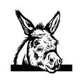 Donkey sketch vector graphics a monochrome graphic the head Peeking Donkey head. Hand drawn in a graphic style. Vintage Royalty Free Stock Photo