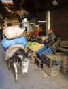 Donkey in the souk of Fes