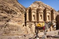 Donkey standing in front of the Monastery in Petra