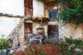 Donkey stands among old house