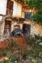 Donkey stands among old house