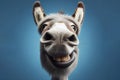 Donkey with a stupid smile closeup, wide angle gopro shot on solid blue background. ai generative