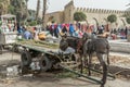 Donkey and Sugar Cane Cart at Local Street Market in Cairo Egypt