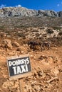 Donkey taxi in Crete island, Greece