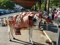 The Donkey taxi-Mijas-Andalusia Royalty Free Stock Photo