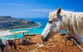 Donkey taxi near Balos Beach, Gramvoussa Peninsula, Balos Bay, Gramvousa Peninsula, Crete, Greek Islands, Greece, Europe Royalty Free Stock Photo