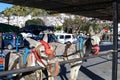 Donkey taxis in Mijas Pueblo Royalty Free Stock Photo
