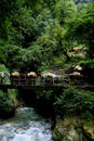 Donkey train crossing River and waterfalls Royalty Free Stock Photo