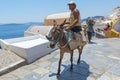 Donkey Transport in Oia, Santorini, Greece