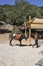 Psychro, august 29th: Donkey for trip to the Cave of Zeus in Dikti mountains from Crete island of Greece Royalty Free Stock Photo