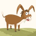 Donkey Vector Illustration