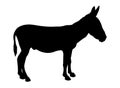 Donkey vector illustration silhouette