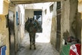 Donkey in the medina, Fes, Morocco