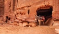 Donkey waiting in stone wall cave at Petra, Jordan. These animals are used to carry tourist to sightseeing spots high in mountains Royalty Free Stock Photo