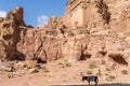 Donkey waiting for Tourist in the ancient city of Petra, Jordan Royalty Free Stock Photo