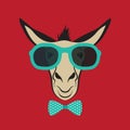 Donkey wearing blue glasses.