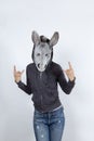 Donkey wearing a hoodies