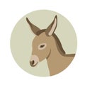 Donkey young head face vector illustration