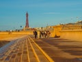 Donkeys on Blackpool Promenade