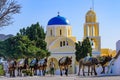 Donkeys carrying cargo in front of the yellow church in Oia, Santorini, Greece Royalty Free Stock Photo