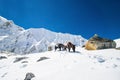 Donkeys carrying essential supplies up the snowy mountains in the Larke Pass of Manaslu Circuit Trek in the Himalayas, Nepal Royalty Free Stock Photo