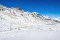 Donkeys carrying essential supplies up the snowy mountains in the Larke Pass of Manaslu Circuit Trek in the Himalayas, Nepal