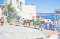 Donkeys at Ia on Santorini. Royalty Free Stock Photo