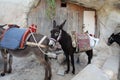 Donkeys in Lindos Rhodes island, Greece Royalty Free Stock Photo