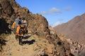 Donkeys on path in Altas Mountains, Morocco Royalty Free Stock Photo