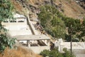 Donkeys resting, santorini Royalty Free Stock Photo